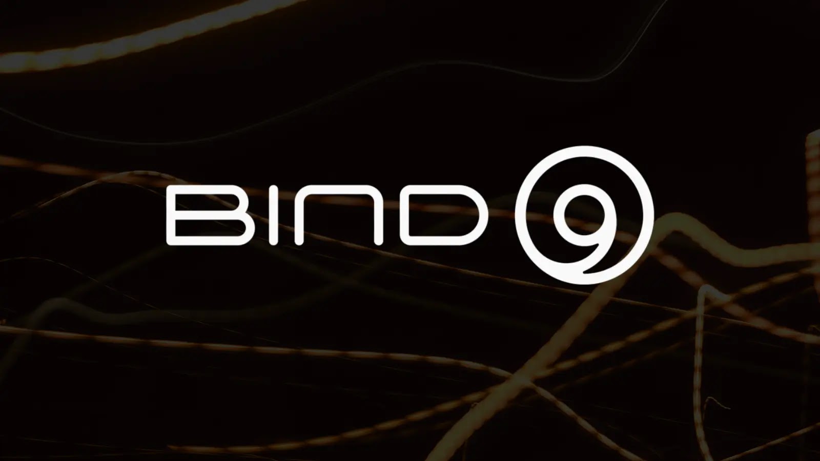 Multiple BIND 9 DNS Vulnerabilities Enable Cache Poisoning and Denial Of Service Attacks