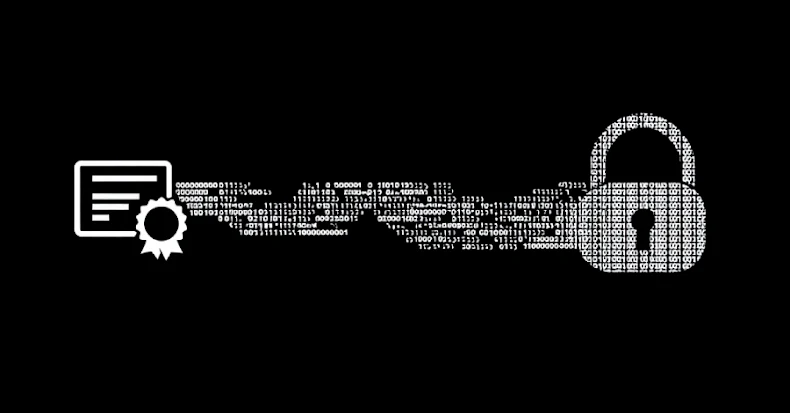 Microsoft Revokes 200 Fraudulent Certificates Used in Rhysida Ransomware Campaign